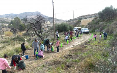 Xixona es torna a involucrar amb el  Dia de l’Arbre plantant 600 exemplars